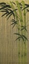 Bild 1 von Conacord Deko-Vorhang Bamboo
, 
90 x 200 cm