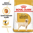 Bild 1 von Royal Canin Labrador Retriever Adult