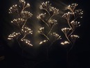 Bild 1 von Tarrington House Gartenstecker LED- Feuerwerk 3er Set, Metall/ Kupfer, 15 x 24 x 65 cm, 420 LED, 6 W, warmweiß