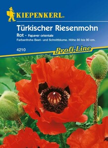 Kiepenkerl Türkischer Riesemohn Olympiafeuer
, 
Papaver orientale, Inhalt: ca. 25 Pflanzen