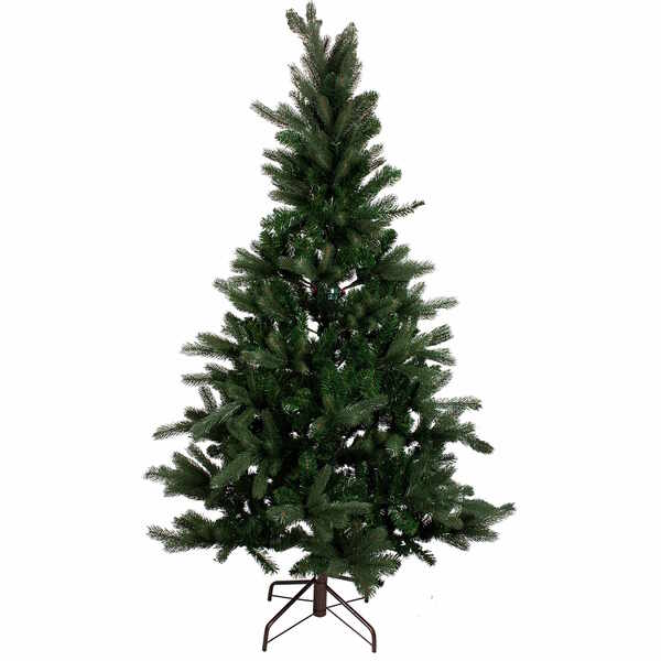 Bild 1 von TREE OF THE MONTH Weihnachtsbaum H 240cm