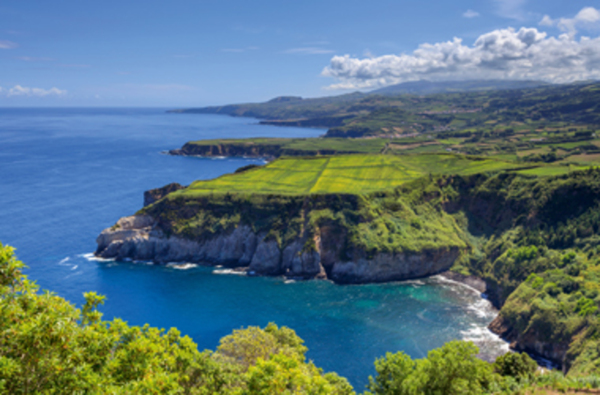 Bild 1 von Kanaren mit Lanzarote & Madeira III