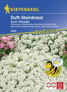 Kiepenkerl Duft-Steinkraut Snow Crystals
, 
Lobularia maritima, Inhalt: ca. 80 Pflanzen