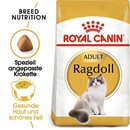 Bild 1 von Royal Canin Ragdoll Adult 10kg