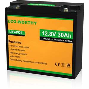30Ah 12V 360Wh Batterie Lithium Eisen Phosphat LiFePO4 Batterie für Power Wheel