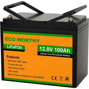 100Ah 12V 1.2KWh Batterie Lithium Eisen Phosphat LiFePO4 Batterie für Power Wheel
