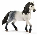 Bild 1 von Schleich® Spielfigur »Schleich 13821 - Horse Club - Andalusier Hengst (01237)«