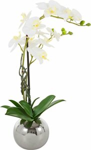 Kunstorchidee »Cosidena« Orchidee, Guido Maria Kretschmer Home&Living, Höhe 60 cm, Kunstpflanze, im Topf aus Keramik