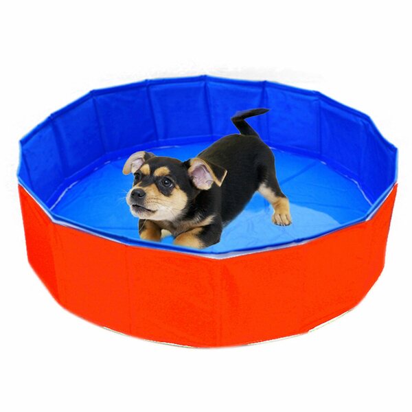 Bild 1 von Heim Outdoor-Dog-Swimming Pool Durchmesser 80 cm Höhe 20 cm