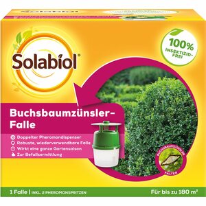 Solabiol Buchsbaumzünsler-Falle 1 Stück