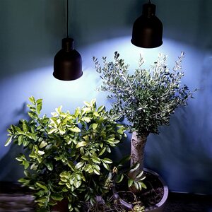 Parus by Venso LED-Pflanzenlampe Winter 18 W E27