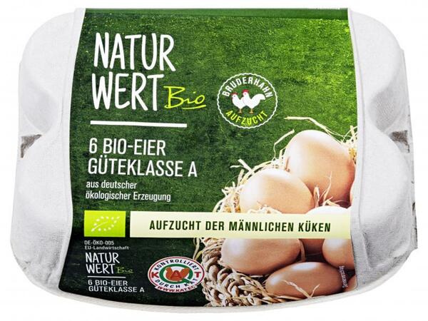 Bild 1 von NaturWert Bio Eier Bruderhahn Aufzucht Güteklasse A Größe M/L