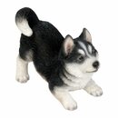 Bild 1 von Deko-Figur Hund Husky 20 cm