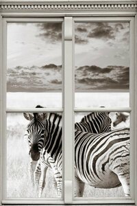 queence Wandsticker »Zebras«