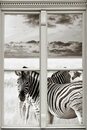 Bild 1 von queence Wandsticker »Zebras«