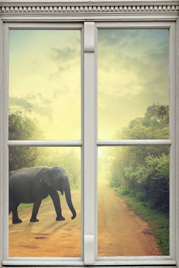 Bild 1 von queence Wandsticker »Elefant«