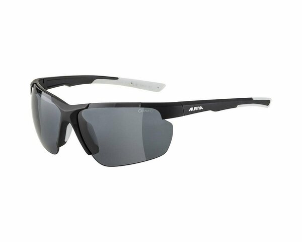 Bild 1 von Alpina Sports Sonnenbrille »Sonnenbrille Defey HR black matt«