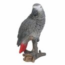 Bild 1 von Deko-Figur Vogel Papagei 22 cm