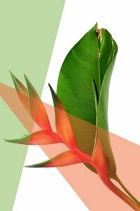 queence Acrylglasbild »Blätter«