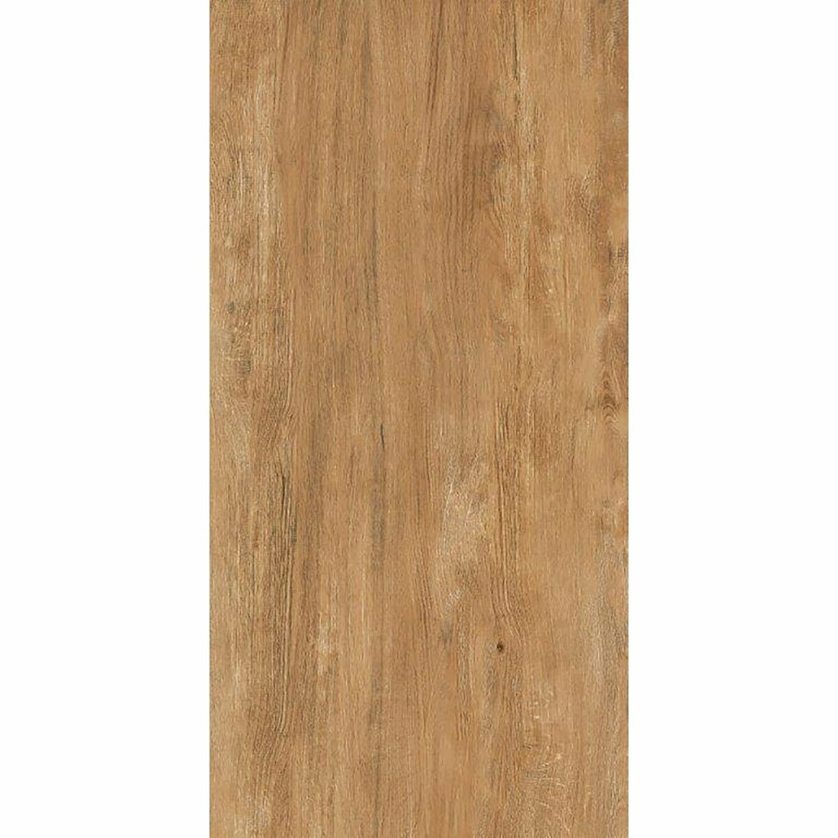 Bild 1 von Bodenfliese Kandelberg Feinsteinzeug Beige 31 cm x 62 cm