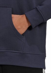 adidas Originals Sweatshirt »ADIDAS ADICOLOR TREFOIL HOODIE«
