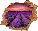 Bild 1 von Conni Oberkircher´s Wandsticker »Lavander - Lavendel«, selbstklebend, Blumenfeld