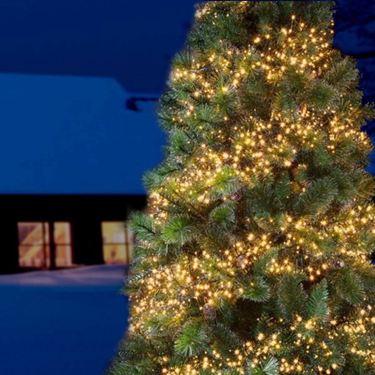 Bild 4 von LED-Cluster-Lichterkette 1152 LEDs