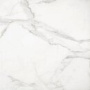 Bild 1 von Feinsteinzeug Marmore Carrara 60 cm x 60 cm