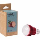 Bild 1 von Parus by Venso LED-Pflanzenlampe Winter 7 W E27