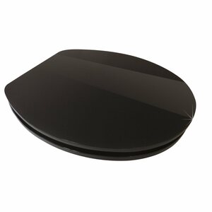 Sanitop-Wingenroth WC-Sitz High-Gloss Pure Black