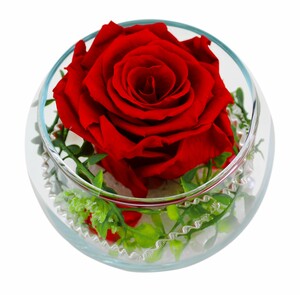Long Life Rose Curly Kugelglas 7 cm, rot