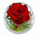 Bild 1 von Long Life Rose Curly Kugelglas 7 cm, rot