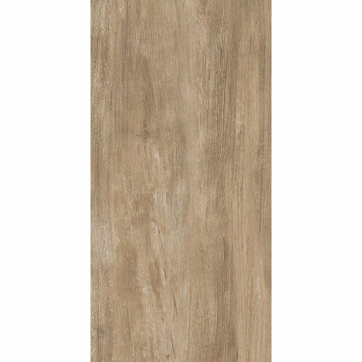 Bild 1 von Bodenfliese Kandelberg Feinsteinzeug Greige 31 cm x 62 cm