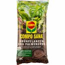 Bild 1 von Compo Sana Grünpflanzen- und Palmenerde 1 x 5 l