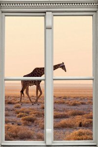 queence Wandsticker »Giraffe«