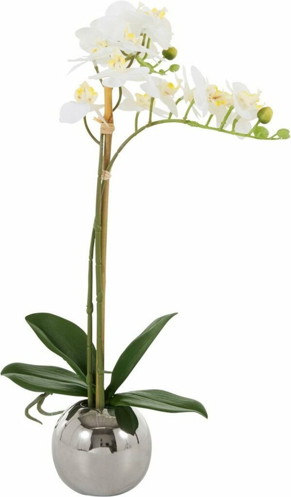 Bild 1 von Kunstorchidee »Voguish« Orchidee, Guido Maria Kretschmer Home&Living, Höhe 39 cm, Kunstpflanze, im Topf aus Keramik
