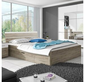 Feldmann-Wohnen Bett »BETA«, Lieferung ohne Lattenroste, Matratzen, Bettwaren und Dekoration, Liegefläche 160 x 200 cm