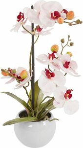 Kunstorchidee »Ernestine« Orchidee, DELAVITA, Höhe 42 cm, Kunstpflanze, im Topf
