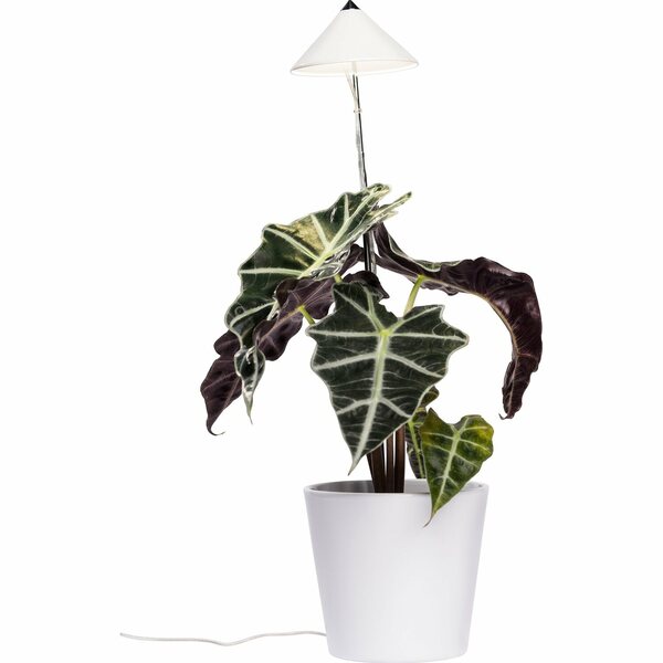 Bild 1 von Venso Sunlite LED-Pflanzenlampe 7 W Weiß
