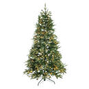 Bild 1 von Evergreen Weihnachtsbaum Sherwoord Fichte grün PVC H/D: ca. 210x134 cm