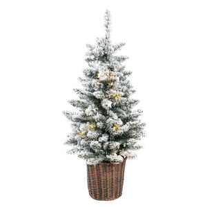 Evergreen Weihnachtsbaum Kiefer Frost grün Kiefer H/D: ca. 51x51 cm
