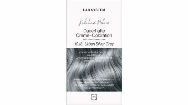 Bild 1 von LAB System Coloration Silver Grey 10.18