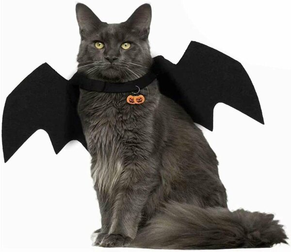 Bild 1 von ELIAUK Fledermauspullover »Pet Bat Wings, Halloween Pet Costume Bat, Pets Costumes Clothes, Halloween Pumpkins Cat Bat Wings Cat Bat Kostüm für Hunde, Katzen« (1-tlg)