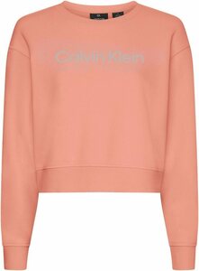Calvin Klein Performance Sweatshirt »PW - Pullover« mit CK Logo-Schriftzug