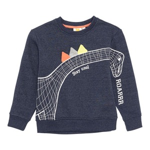 Jungen-Sweatshirt mit Dino-Motiv