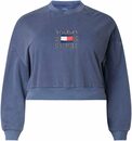 Bild 2 von Tommy Jeans Curve Sweatshirt »TJW CRV CROP TIMELESS BOX CREW« Mit Tommy Jeans Logo-Sickerei & Flag
