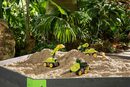 Bild 3 von BIG Spielzeug-Bagger »Power Worker Mini Dino T-Rex«, Made in Germany