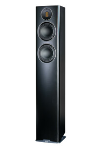 Carina FS 247 schwarz (Stückpreis) Lautsprecher