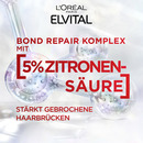 Bild 4 von L’Oréal Paris Elvital Bond Repair Shampoo