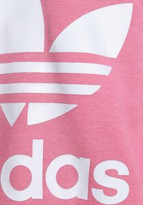 adidas Originals Sweatshirt »ADICOLOR CROPPED HOODIE«